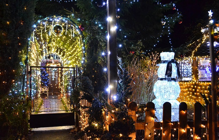 Light-bearer of Chotovice