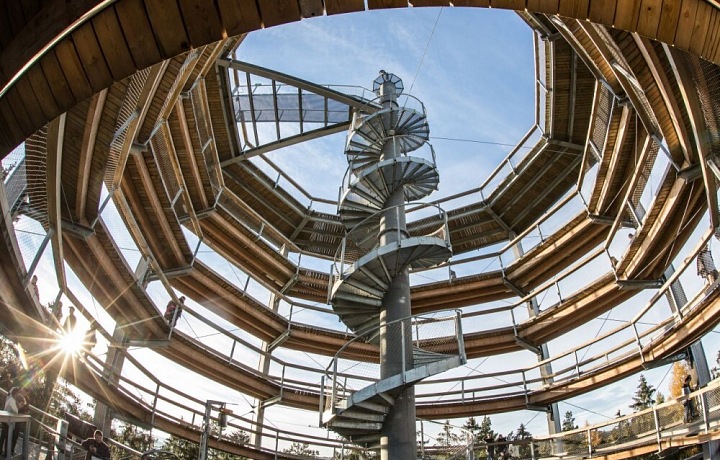 Stezky korunami stromů Lipno