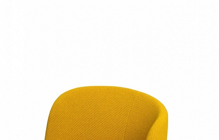 Aril Armchair