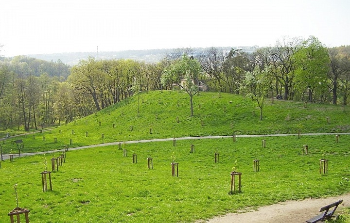 Park Cbulka