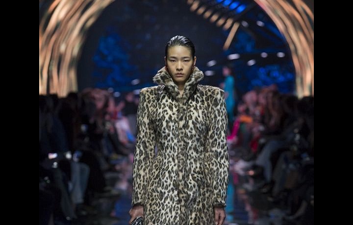  The collection consists of distinctive patterns