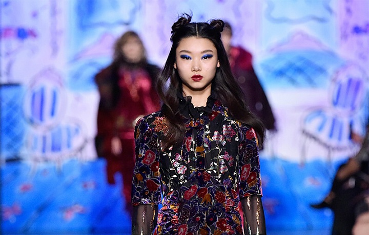 Anna Sui - Fall 2017