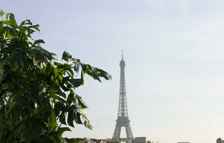 Pařížský styl stolování Christian Lacroix