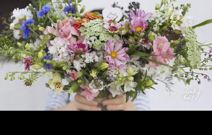 Amazing flowers in Louky květ