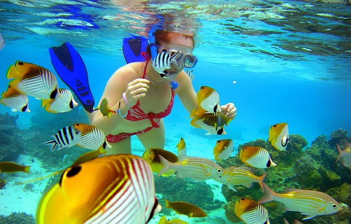 V moři u Rarotongy poznáte neuvěřitelný podmořský život