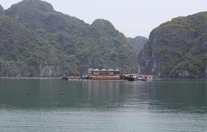 Perlí farma ve Vietnamu. 