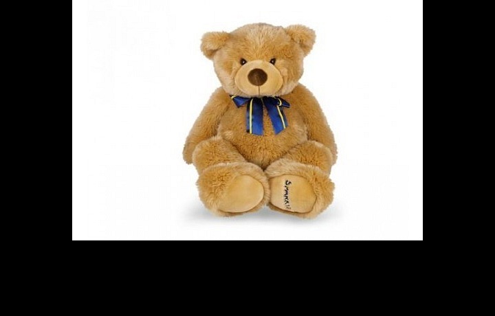 Sparkys teddy bear