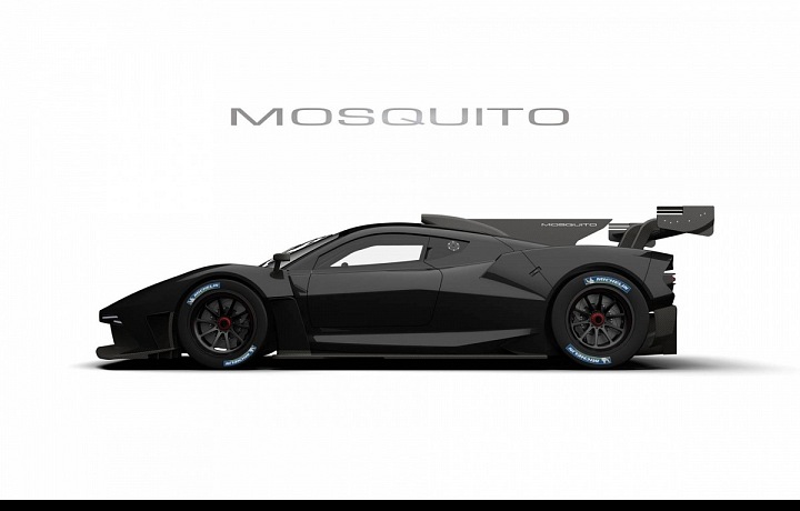 Mosquito in black