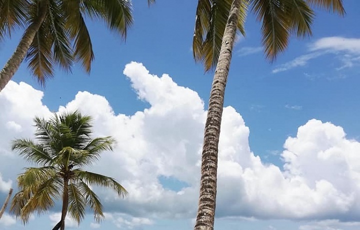 Natural Pool Isla Saona