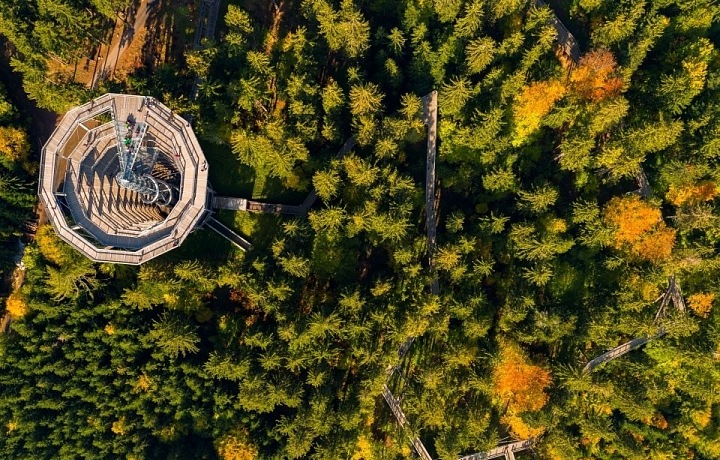 Stezka v korunách stromů Krkonoše