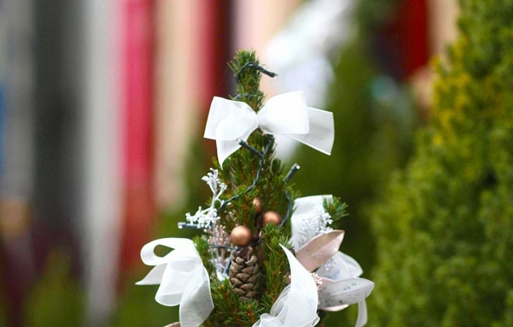  Květinářství Metamorphosis