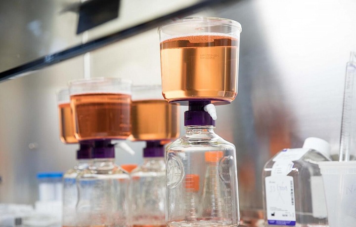 Tady buňky dozrávají v maso. 