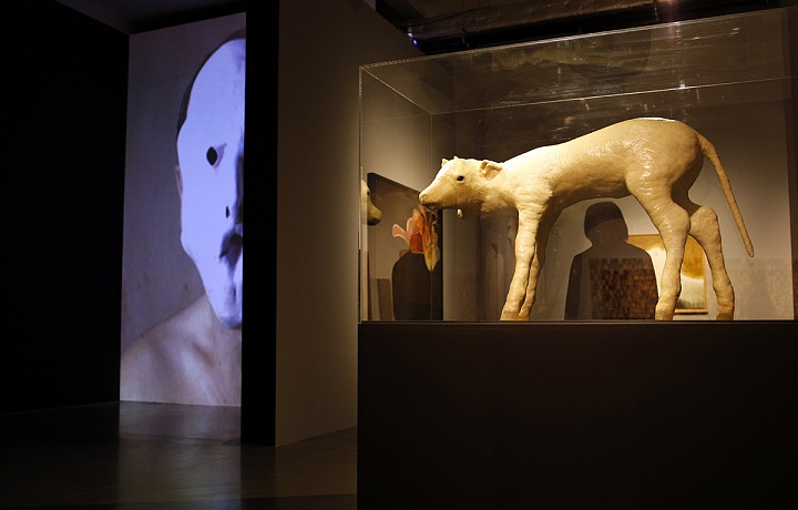 The exhibition in DOX, Daniel Pešta