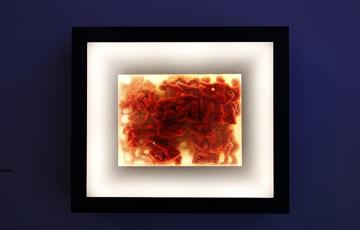 Daniel Pešta in DOX