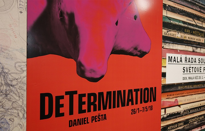 DeTermination, Daniel Pešta in DOX