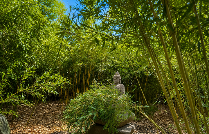 garden Černošice
