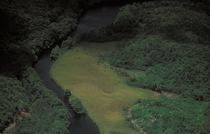 Luxury coast of the island