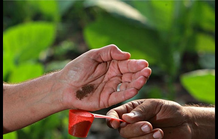 Výjimečná tabáková směs
