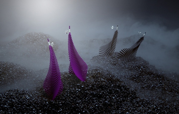 Star Nylon collection