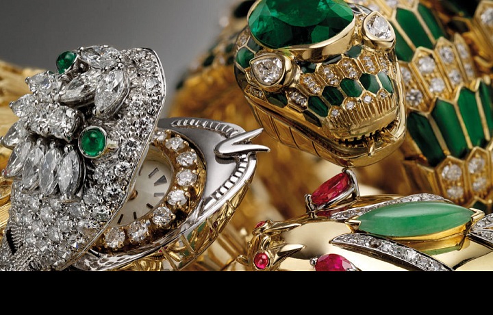 Different colours of snake watches