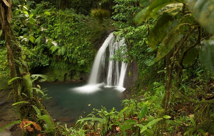Waterfalls in the forest