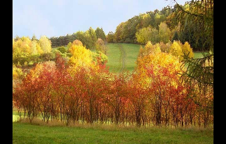 The Šárka Valley in autumn