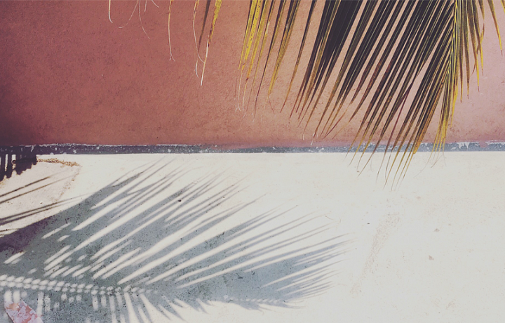 Products made of Malai