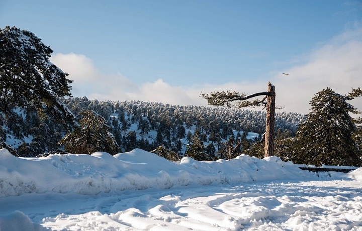 Cyprus, Troodos mountains