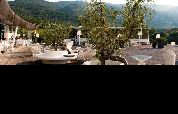 Restaurant Dama Dama