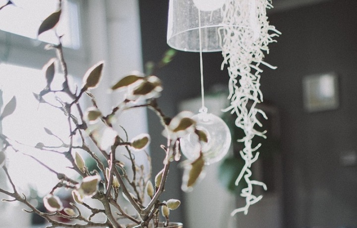 Incredible work of Květinové Lahůdkářství