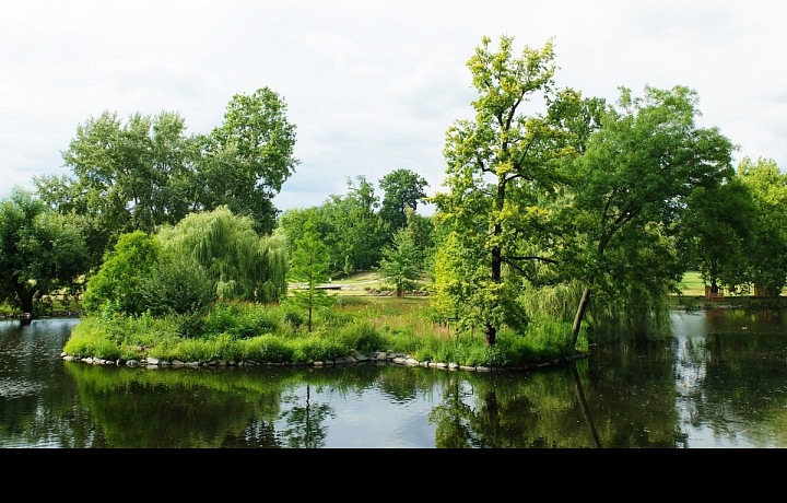 Stromovka neboli Královská obora