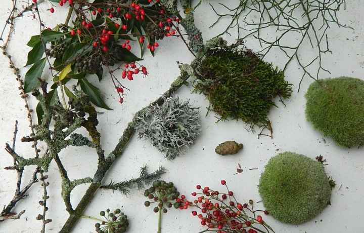 Material from the nature