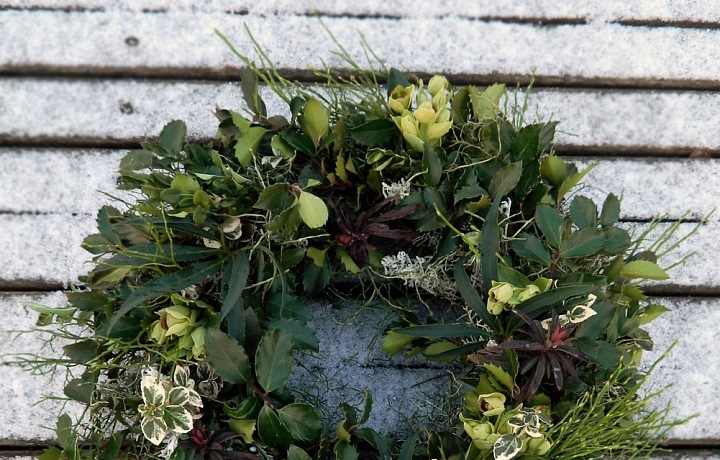 Incredible work of Květinové Lahůdkářství