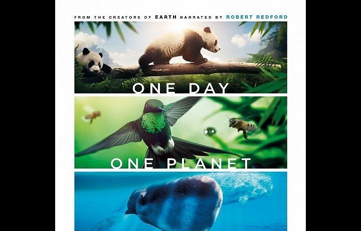 Earth: One Amazing Day