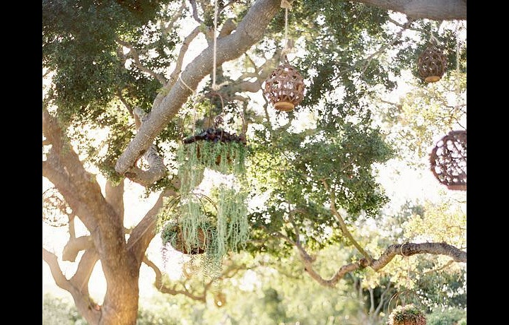 Wedding, Santa Barbara