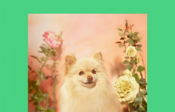 One of the inspirations