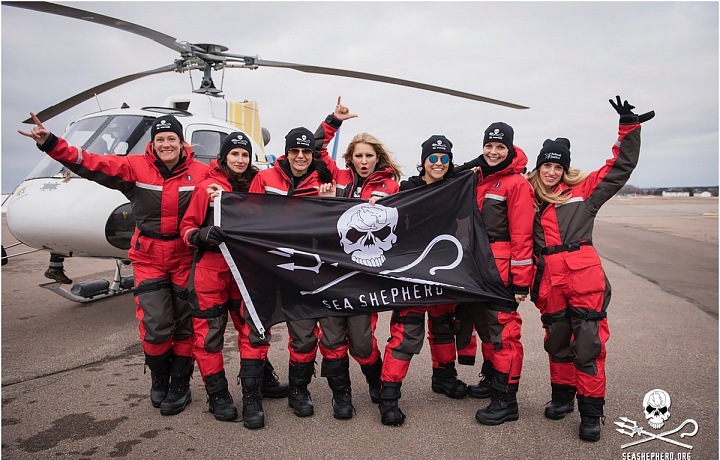 With the Sea Shepherd team, the Sea and the Oceans and Animals in the World will save the world.