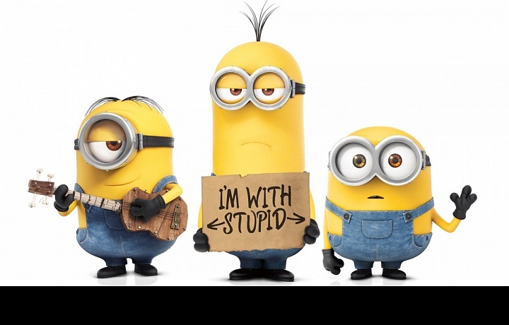 Steward, Kevin and Bob