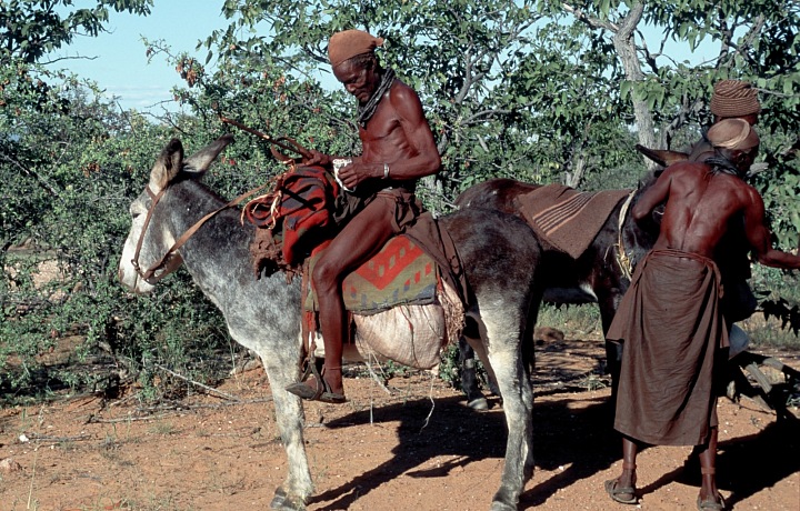 Himba