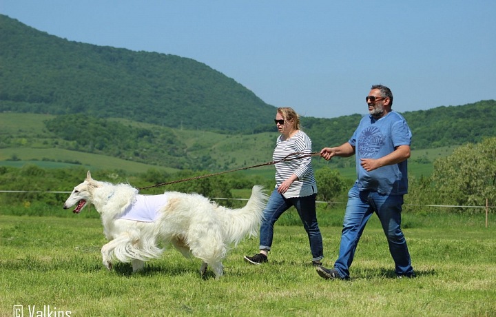 Alexander s manželkou.