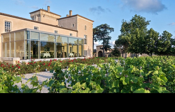 Château Lafaurie-Peyraguey a pohled na vinnou révu