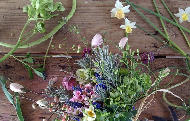 Květinové lahůdkářství