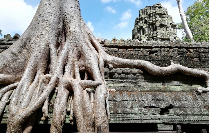 Ta Prohm