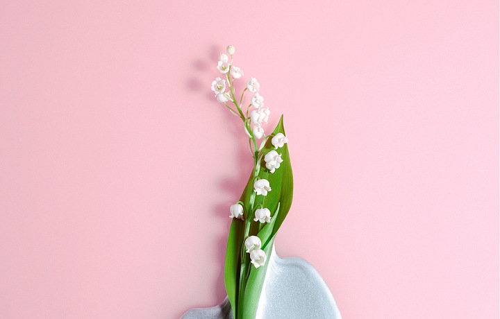 Miu Miu má nový parfém Fleur D'Argent 