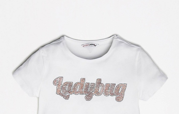 Limited collection Guess