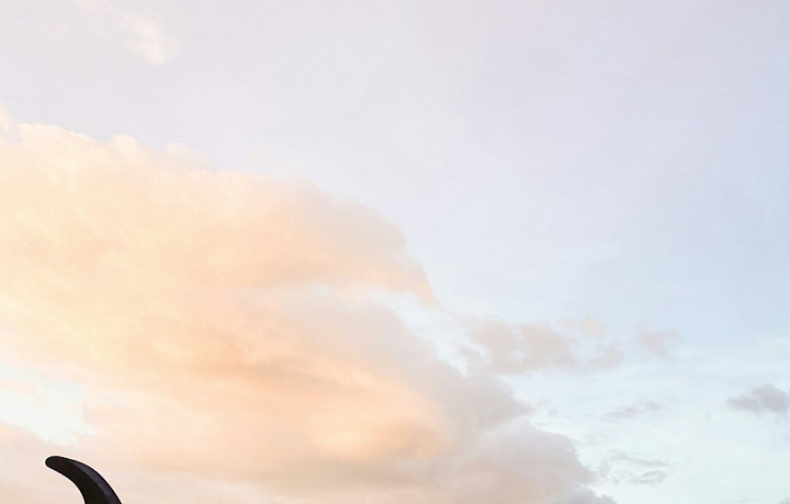 Costa Rica offers a beautiful environment for tourists as well.