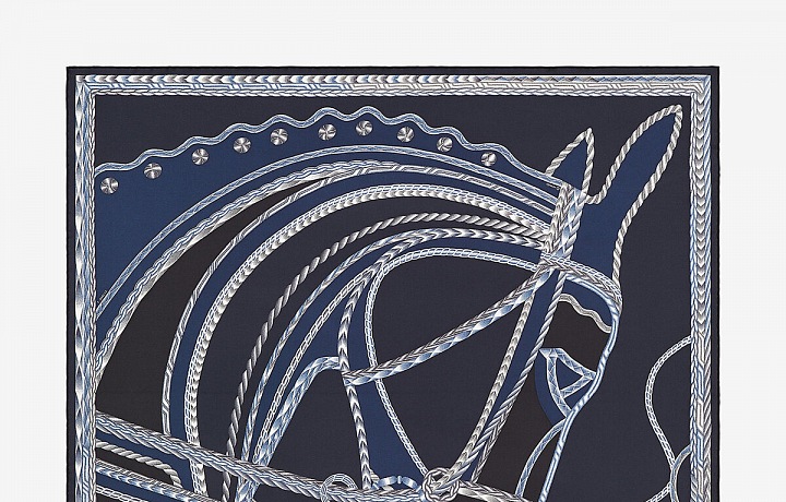 Luxury scarf Hermès