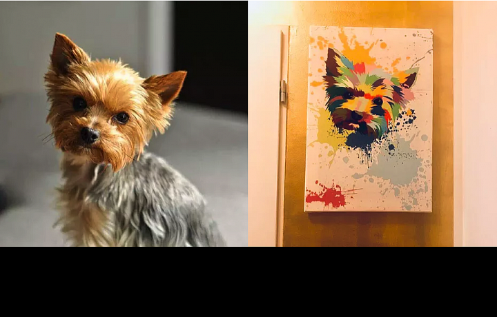 Designs inspired by your dog