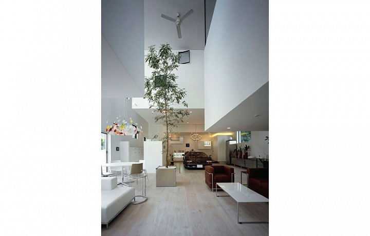 Trees in interiors