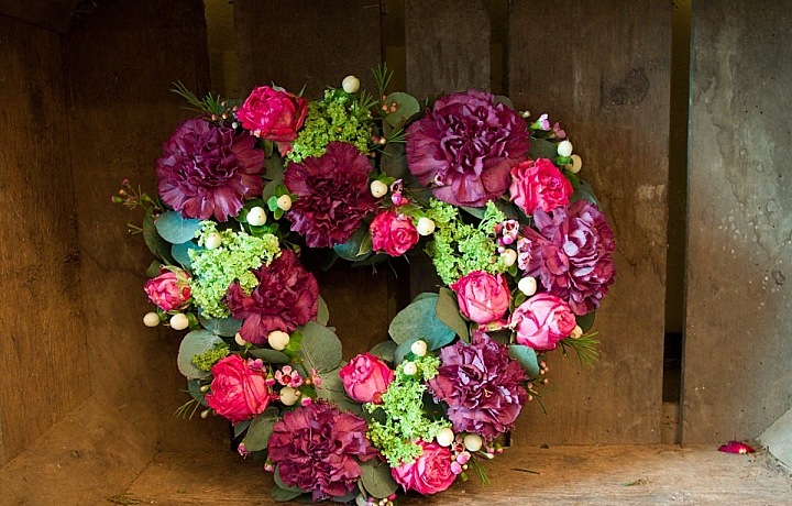 Metamorphosis Flowers